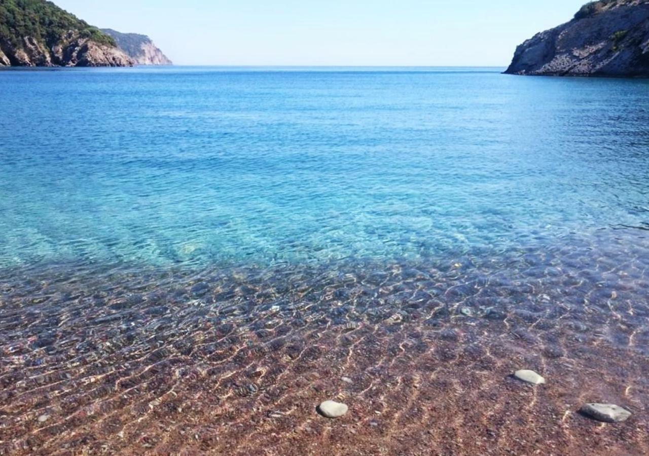 Pearl Beach - Hills & 4*